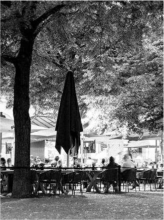 Schwarze und weiße Aufnahme eines Cafés im Freien mit Gästen unter Bäumen und Sonnenschirmen.